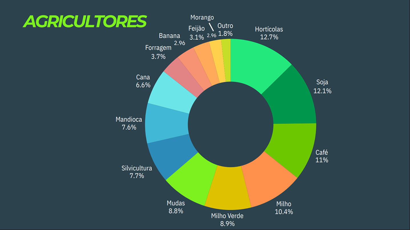 Informativo MF Rural